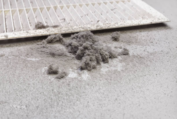 Best HVAC System Cleaning  in Pell City, AL