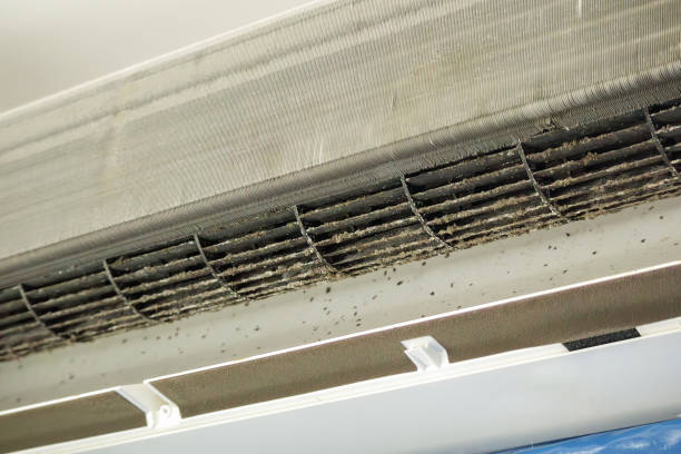 Best HVAC Duct Inspection Services  in Pell City, AL